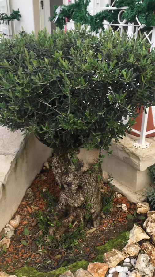 مبيت وإفطار نابولي Il Casale Di Gio المظهر الخارجي الصورة